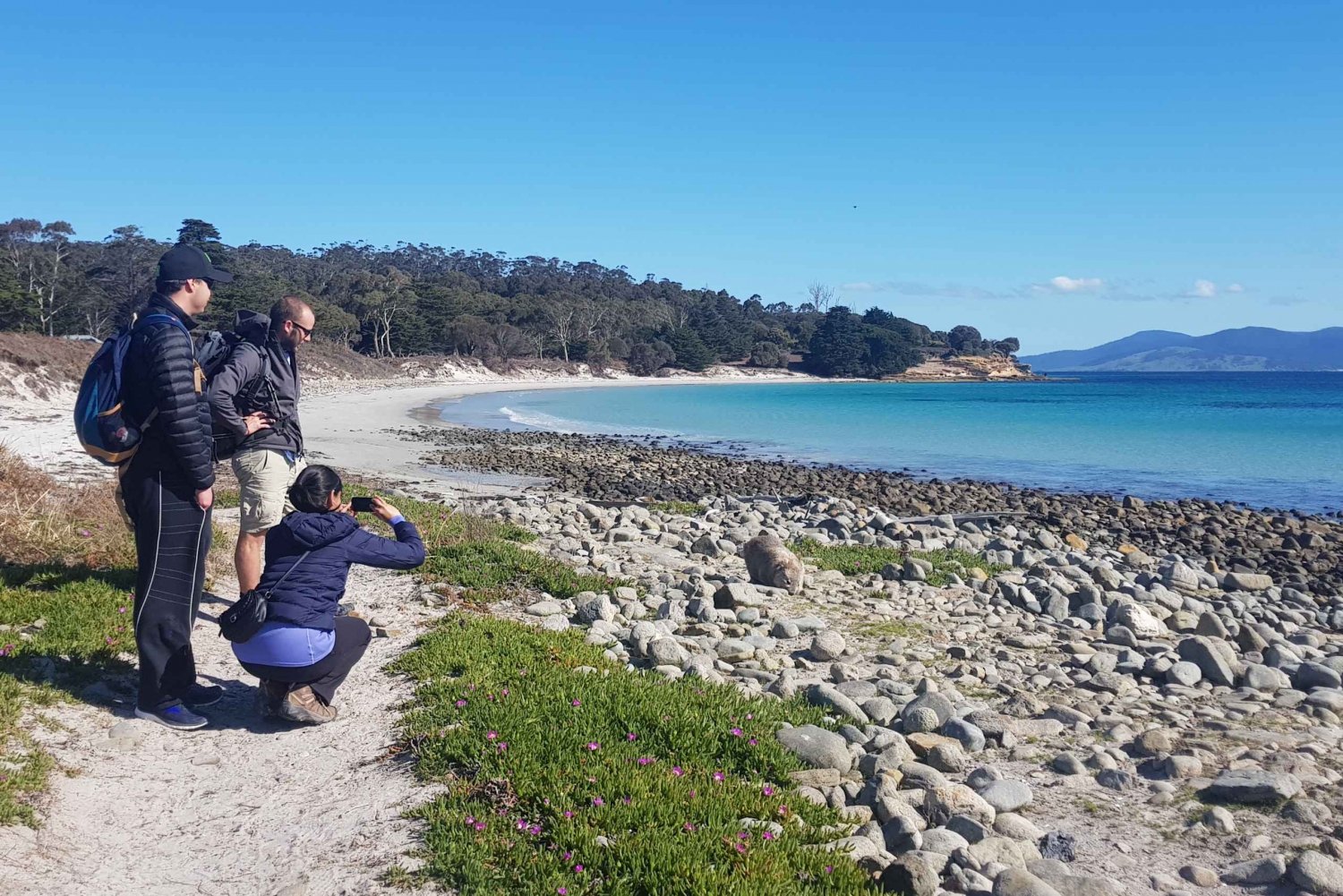 Maria Island: Day Trip with Walk, Wombats, and Picnic Lunch