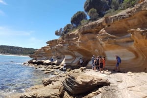Maria Island: Day Trip with Walk, Wombats, and Picnic Lunch