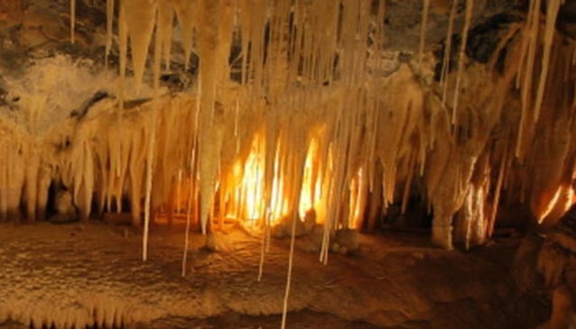 Mole Creek Tourist Caves