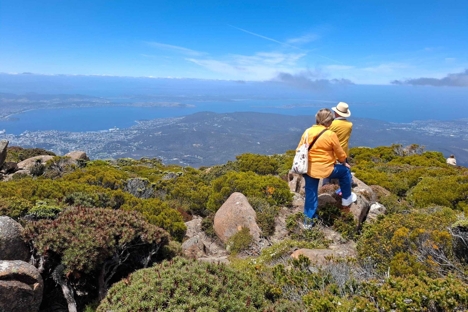 Excursão em terra no Monte Wellington