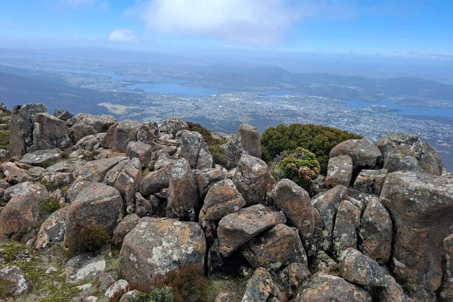 Mount Wellingtonin rannikkoretki