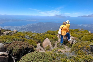 Mount Wellington-excursie aan wal