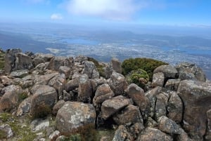 Mount Wellingtonin rannikkoretki
