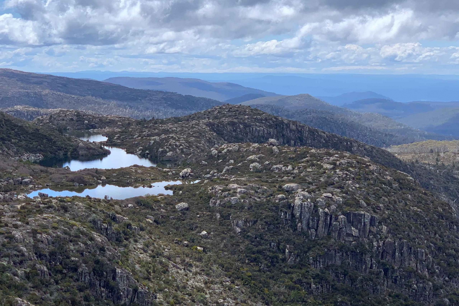 From Hobart: Mt Field National Park & Bonorong Circuit Tour