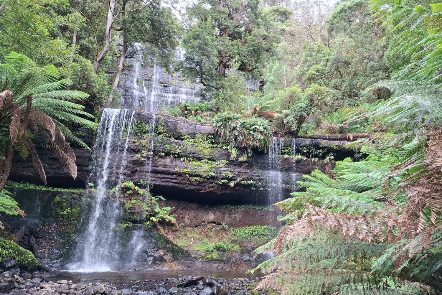 Landausflug zum Mt Field