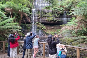 Landausflug zum Mt Field