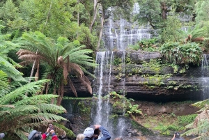 Landausflug zum Mt Field