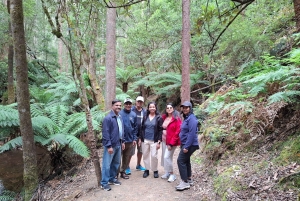 Landausflug zum Mt Field