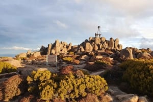 Mt Wellington ettermiddag omvisning i liten gruppe