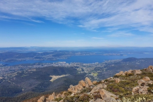 Vanuit Hobart: Middagrit naar Mt Wellington