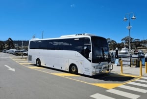 Mont Wellington et Hobart : excursion à terre (visite privative)