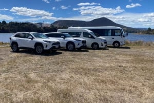 Mont Wellington et Hobart : excursion à terre (visite privative)