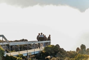 Mt Wellington, Mt Field, Bonorong & Richmond Day Trip