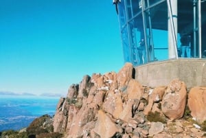 Mt Wellington Ultimate Afternoon Tour