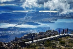 Mt Wellington Ultimate Afternoon Tour