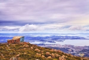 Mt Wellington: Ultimate Experience from Hobart