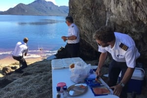 Hobart: Vuela y Navega por la Zona Salvaje del Suroeste con Almuerzo