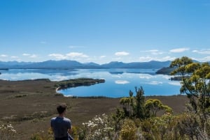 Hobart: przelot i rejs po południowo-zachodniej części dzikiej przyrody z lunchem