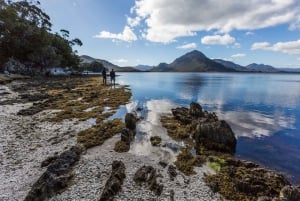 Hobart: przelot i rejs po południowo-zachodniej części dzikiej przyrody z lunchem