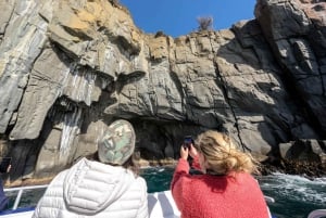Puerto Arturo Crucero por las Tierras Salvajes del Cabo Raoul