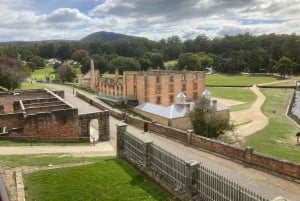 Port Arthur Historic Site Private Tour
