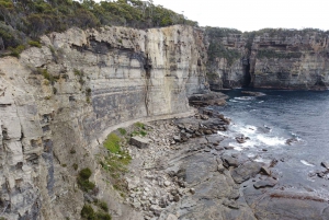 Port Arthur Tour & Cruise Day Trip from Hobart