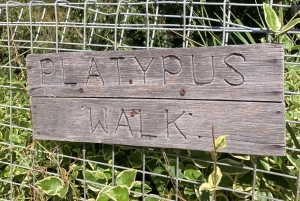 フオン バレー 1日プライベート ツアー