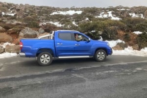 Private Tagestour – Tasman-Halbinsel