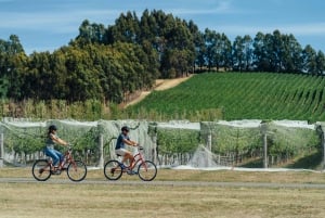 Relbia: Vineyard Cycling Tour with Wine Tasting