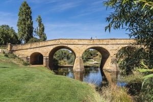 Richmond: Passeios de vinho e gim em Coal Valley com almoço em um vinhedo