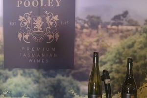 Tour de vinhos exclusivo - Hobart e Sudeste da Tasmânia