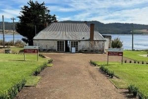 Signature Wine Tour - Hobart and SE Tasmania
