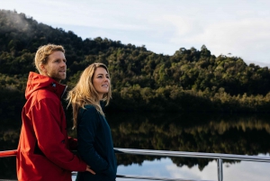 Da Strahan: Crociera serale con cena sul fiume Gordon