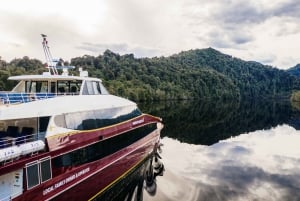 Strahan: Werelderfgoed cruise op de Gordon rivier met lunch