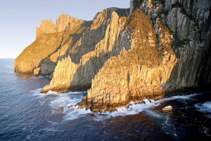 Tasman Island: 3-Hour Wilderness Cruise