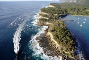 From Port Arthur: Tasman Island Wilderness Cruise