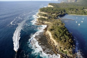 Tasman Island: 3-Hour Wilderness Cruise