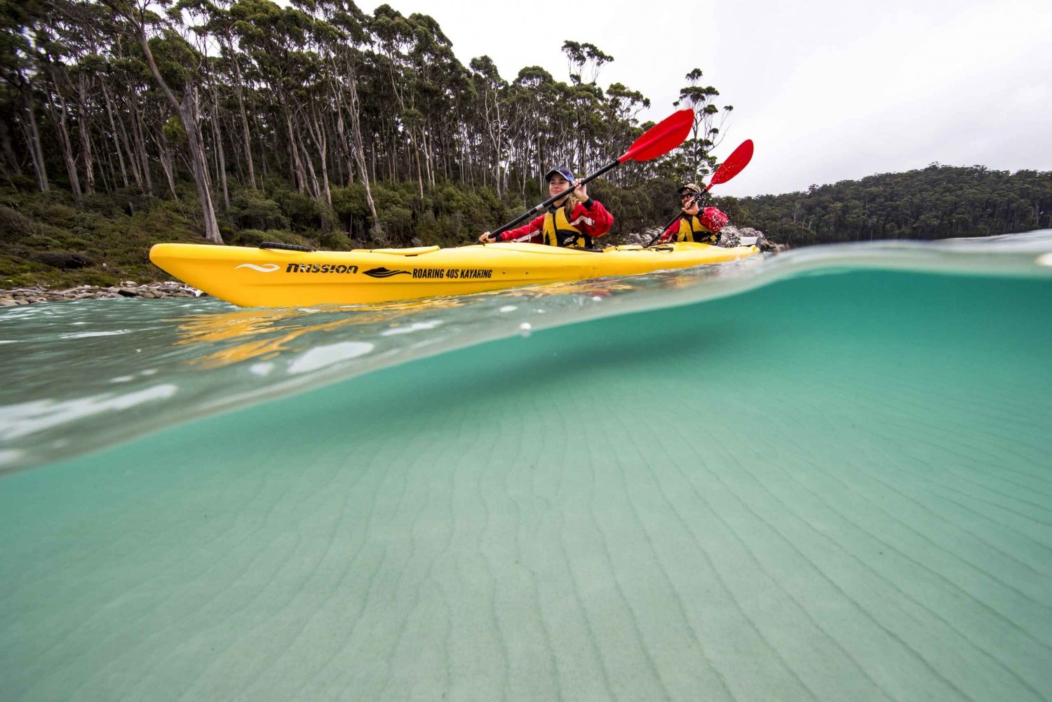 Tasman Peninsula Full-Day Sea Kayak Excursion