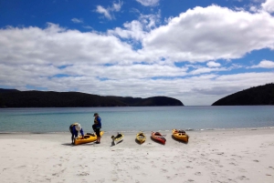 タスマン半島1日カヤックツアー