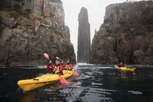 Tasman Peninsula Full-Day Sea Kayak Excursion