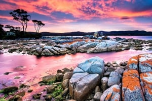 【Tasmania】10 päivän All-Inclusive Hobart & Launceston kiertomatka