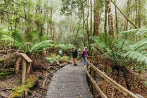 【Tasmanien】10 dages all-inclusive tur til Hobart og Launceston