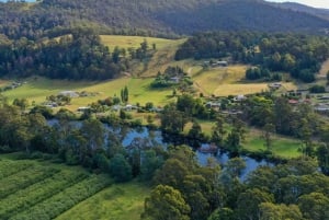 Tasmanië 10 daagse all-inclusive rondreis door Hobart en Launceston