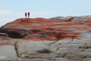 Tasmanien: (Ny rundtur) 6 dagars upptäcktsfärd (Comfort Tour)