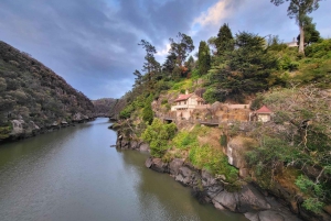 Tasmânia: (Nova excursão) Excursão de 6 dias à descoberta (Excursão de conforto)