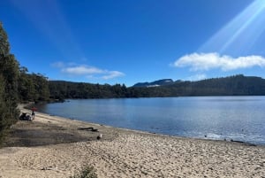 Tasmania: tour di 7 giorni da ovest a est