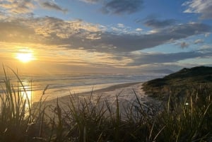 Tasmania: tour di 7 giorni da ovest a est