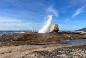 Tasmania: tour di 7 giorni da ovest a est