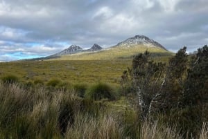 Tasmania: tour di 7 giorni da ovest a est