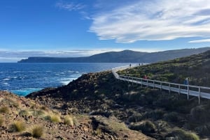 Tasmania: tour di 7 giorni da ovest a est